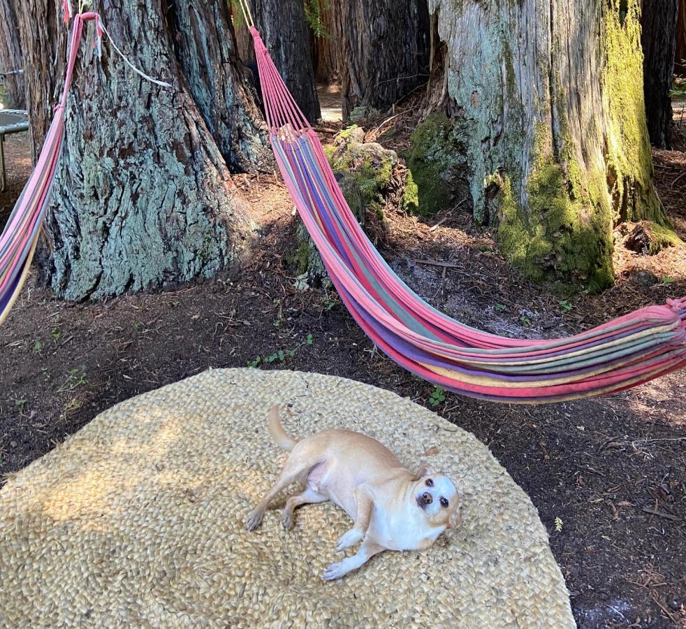 Camping The Paradise Retreats Bonny Doon