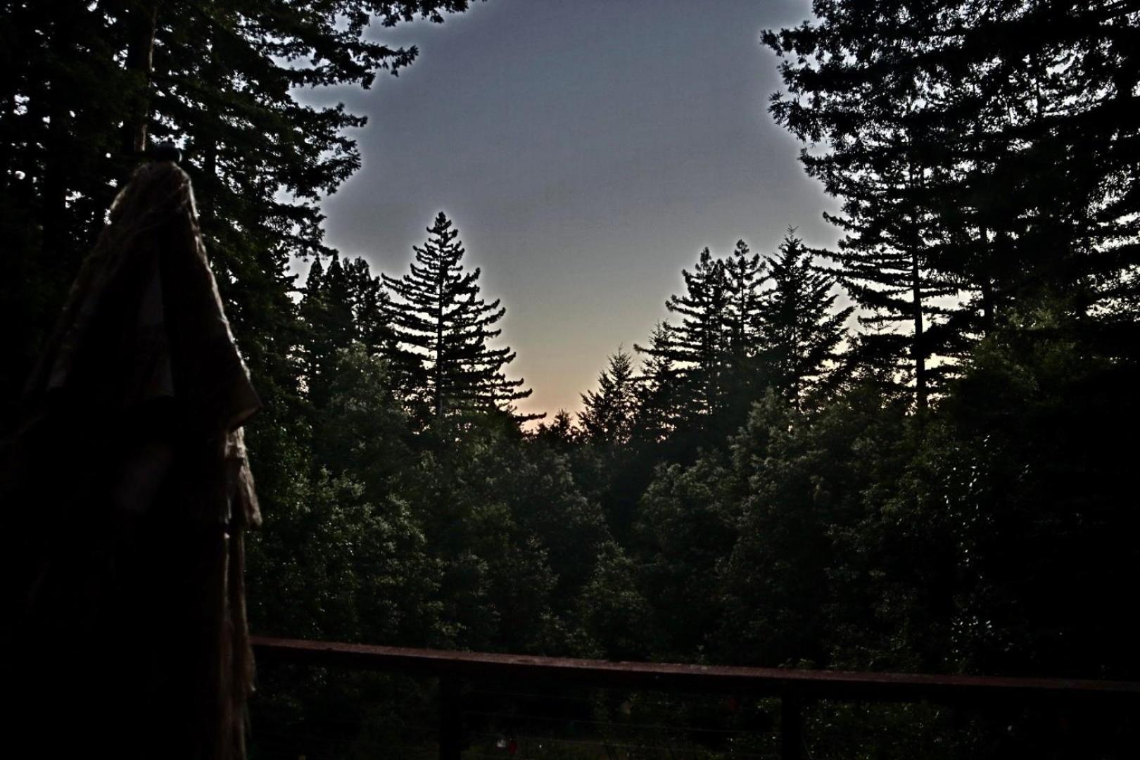 The Paradise Retreats Camping