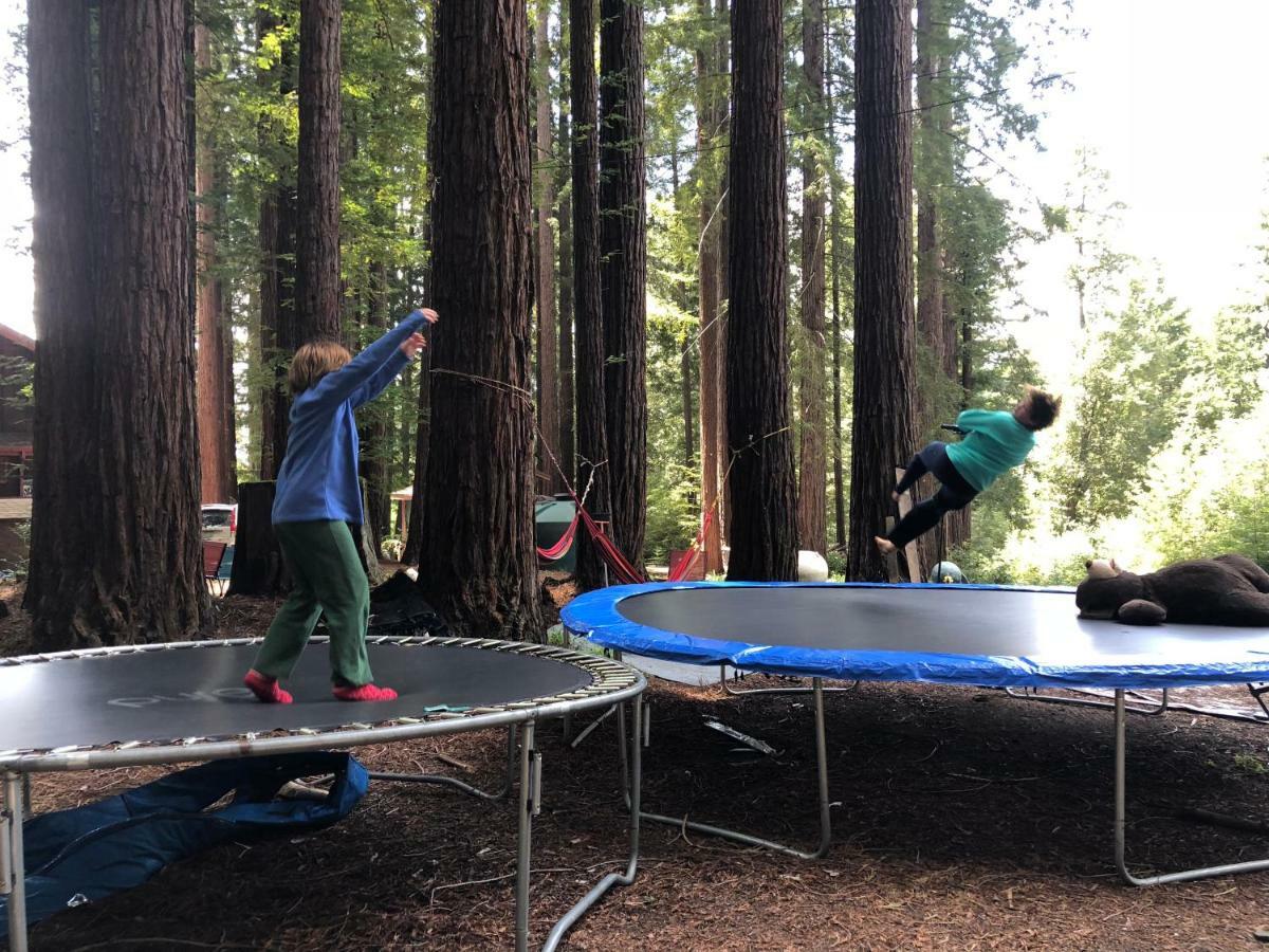 Camping The Paradise Retreats *