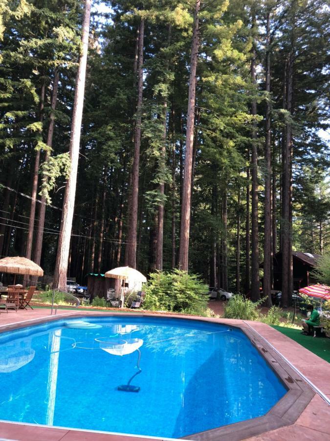 The Paradise Retreats * Bonny Doon